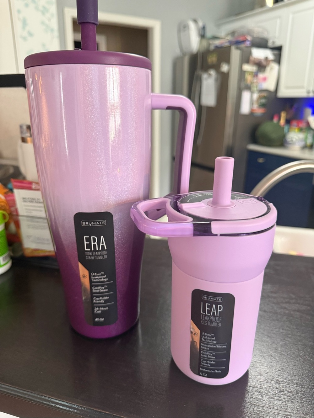 BrüMate Era & Leap Purple Ombre Drink Tumblers Set of 2 NWT